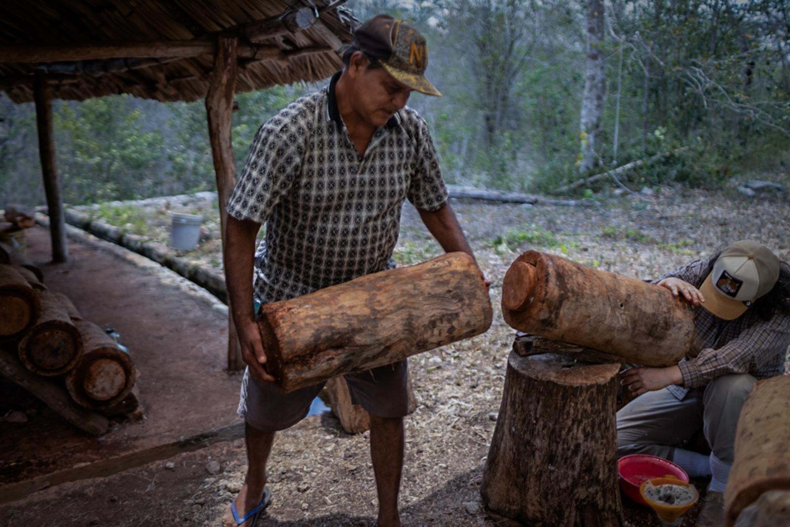 Raul Puga, a helper at the the ...ive) to start extracting honey.