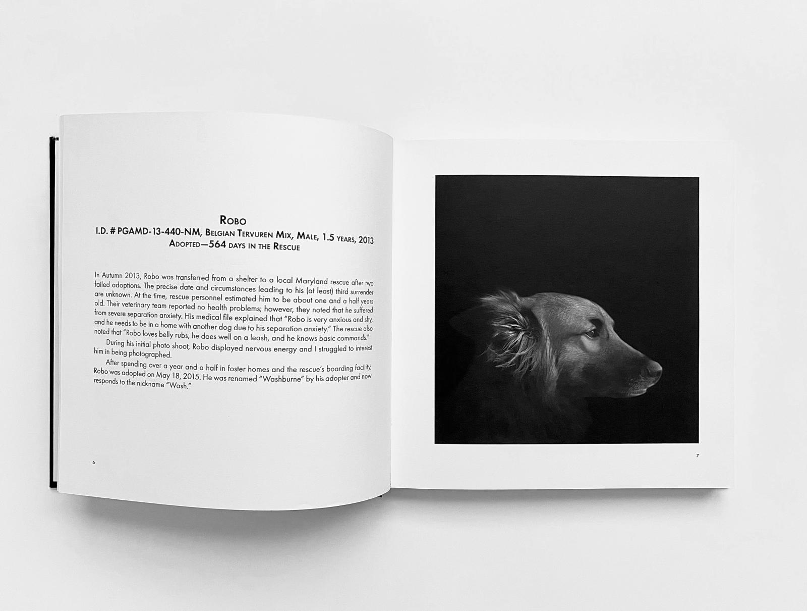 New Book: Abandoned: Chronicling the Journeys of Once-Forsaken Dogs