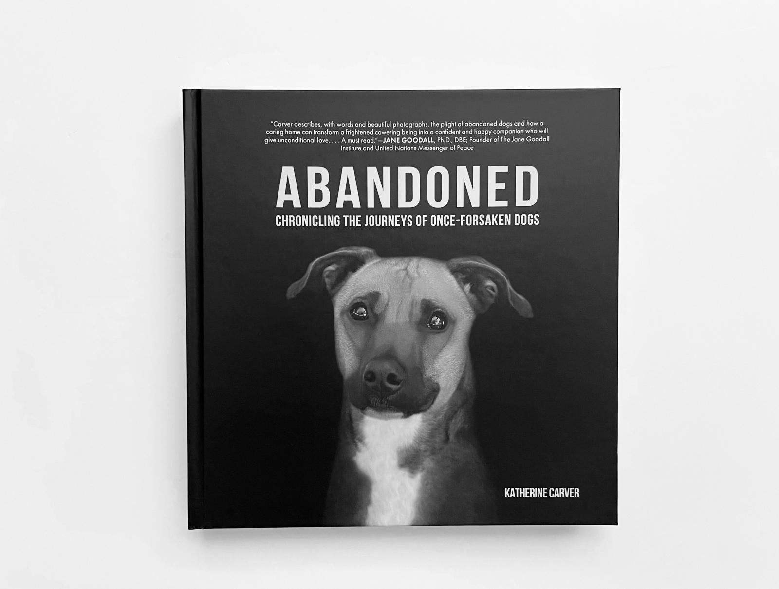 New Book: Abandoned: Chronicling the Journeys of Once-Forsaken Dogs