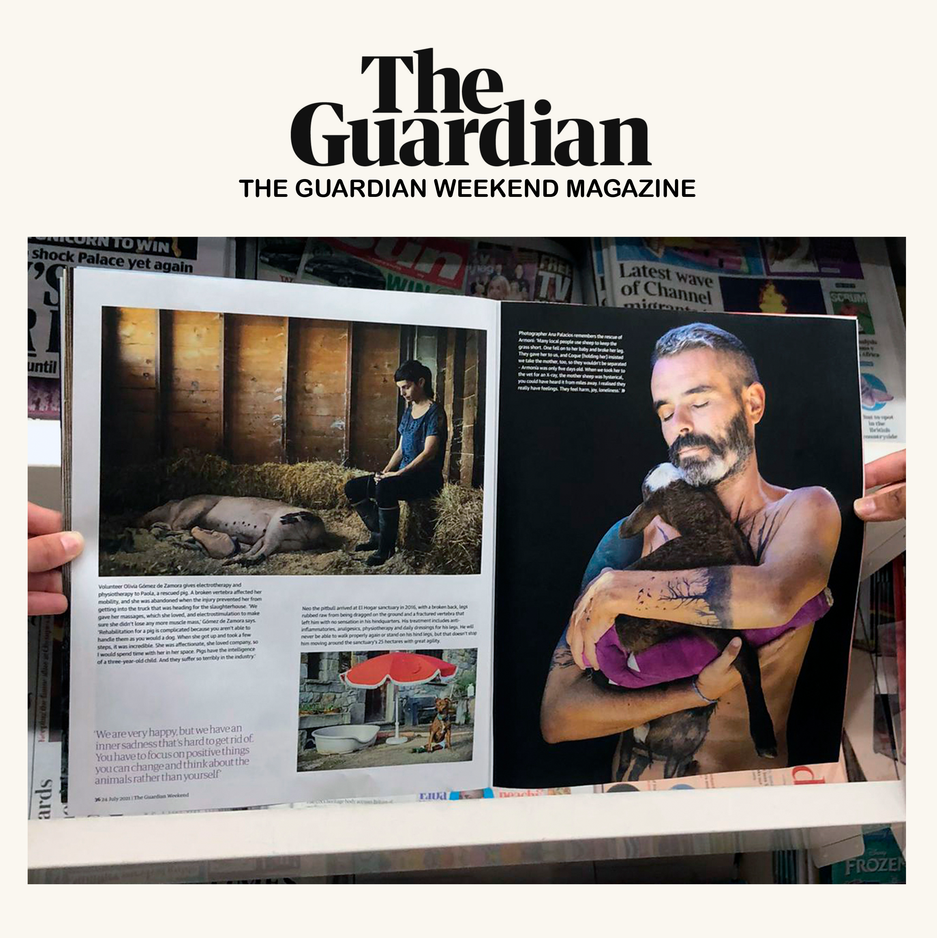 Thumbnail of Spanish animal sanctuaries at The Guardian Weekend Magazine