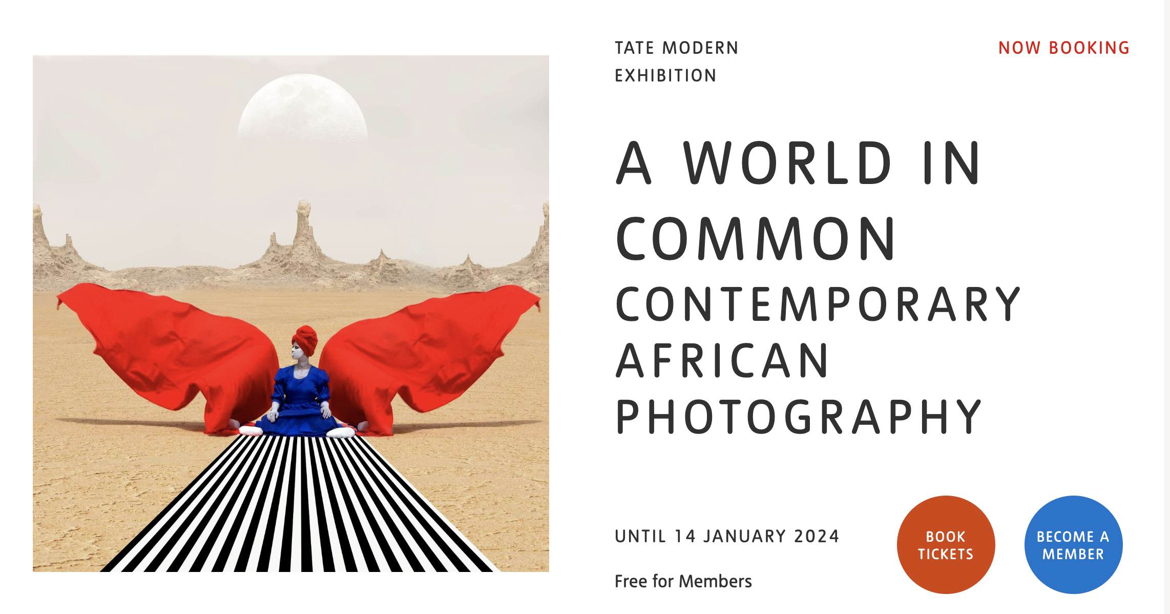 TATE MODERN: A celebration of the varied landscape of contemporary African photography today