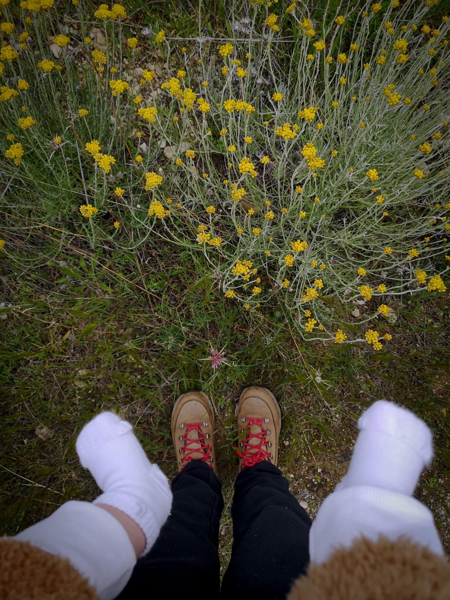 On motherhood: Up Close and Personal