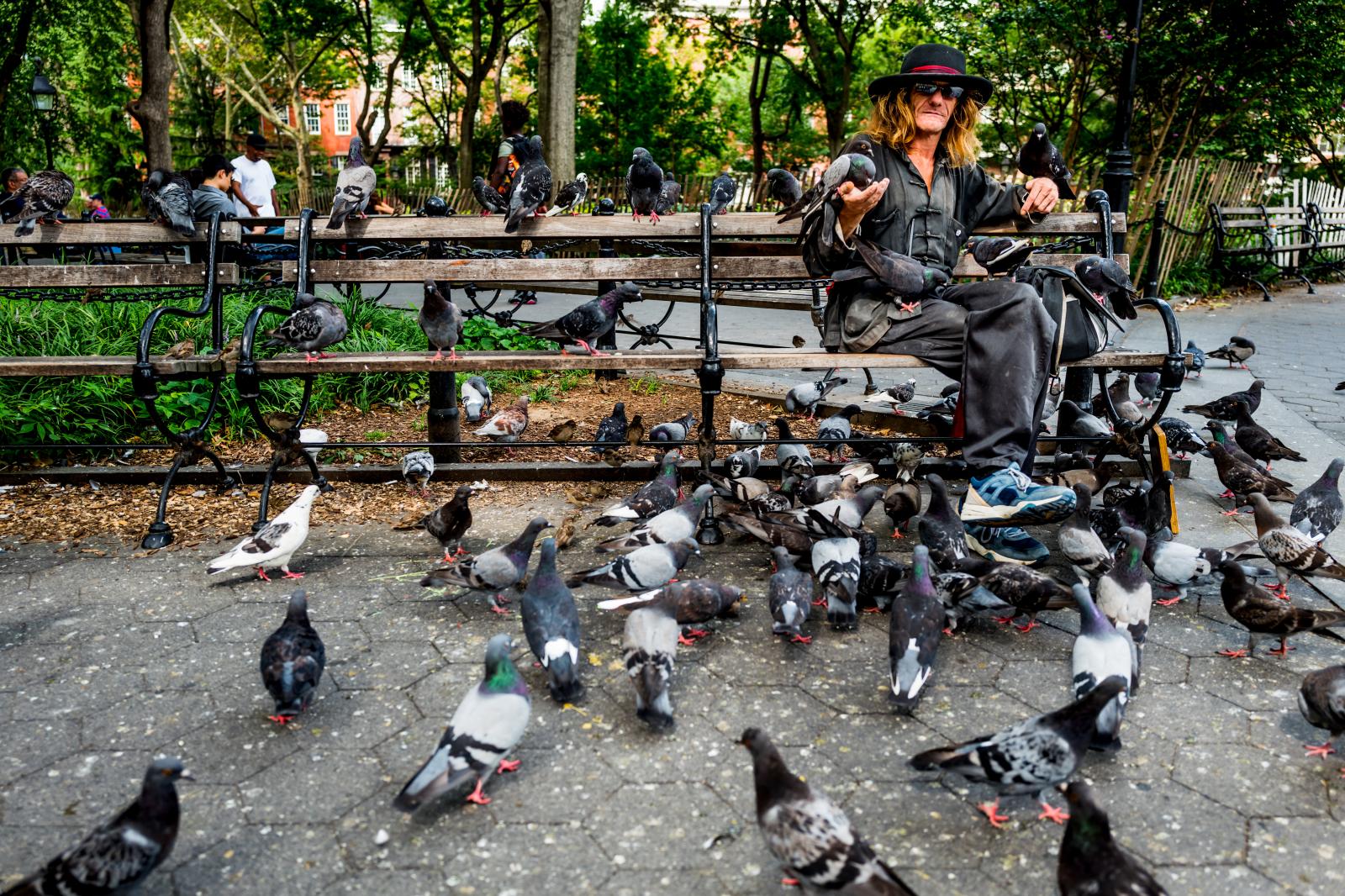 Larry, The Pigeon Man 150823276