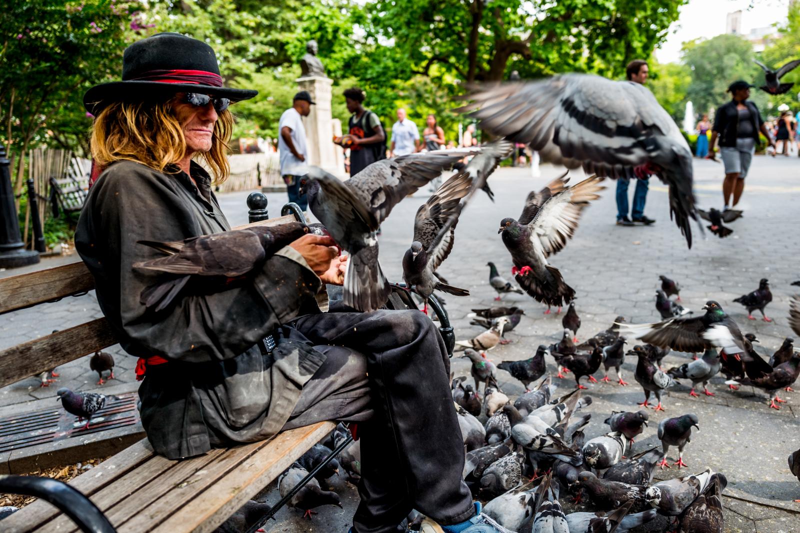 Larry, The Pigeon Man 150823288