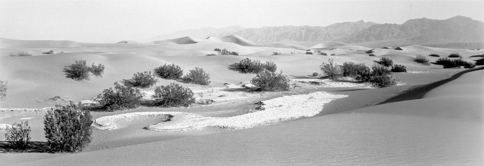 Landscapes 040919309