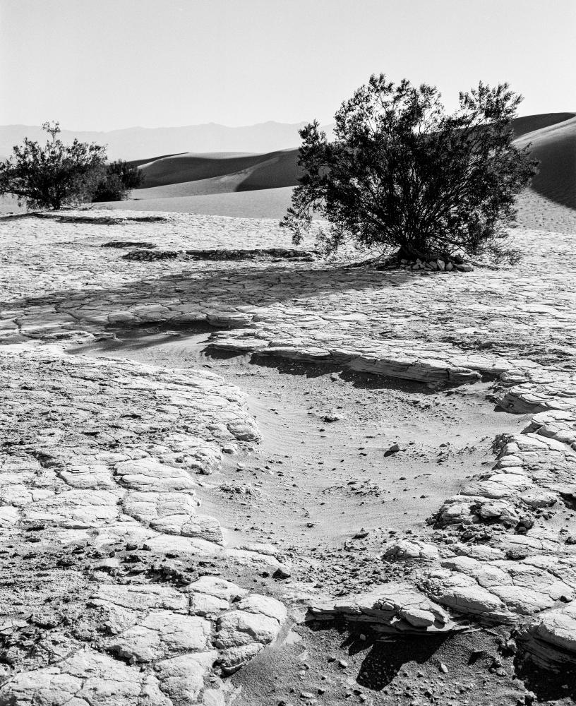 Landscapes 040919401