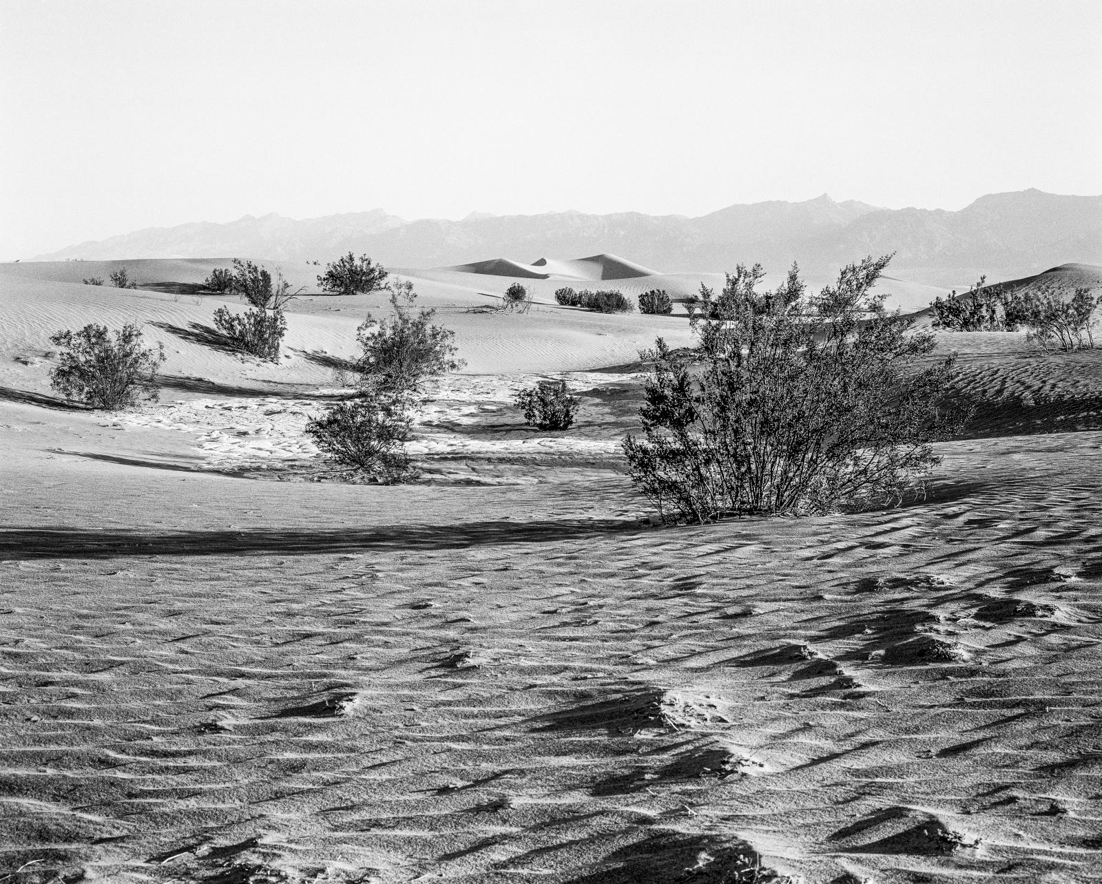 Landscapes 040919603