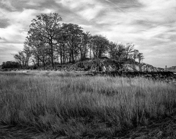 Kenneth Nelson | Images