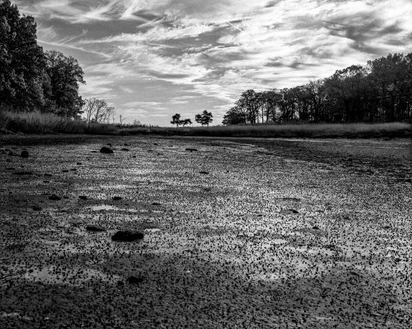 Kenneth Nelson | Images