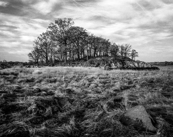 Kenneth Nelson | Images