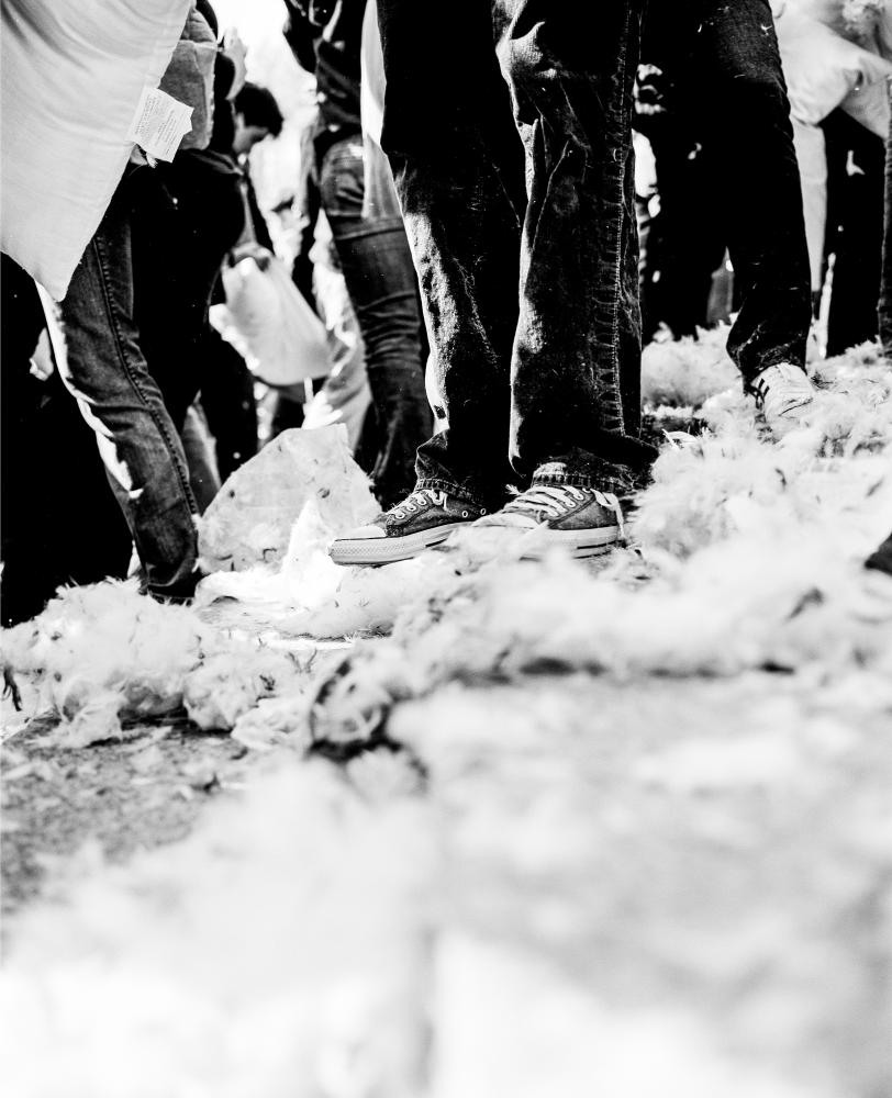 Pillow Fight 080322401
