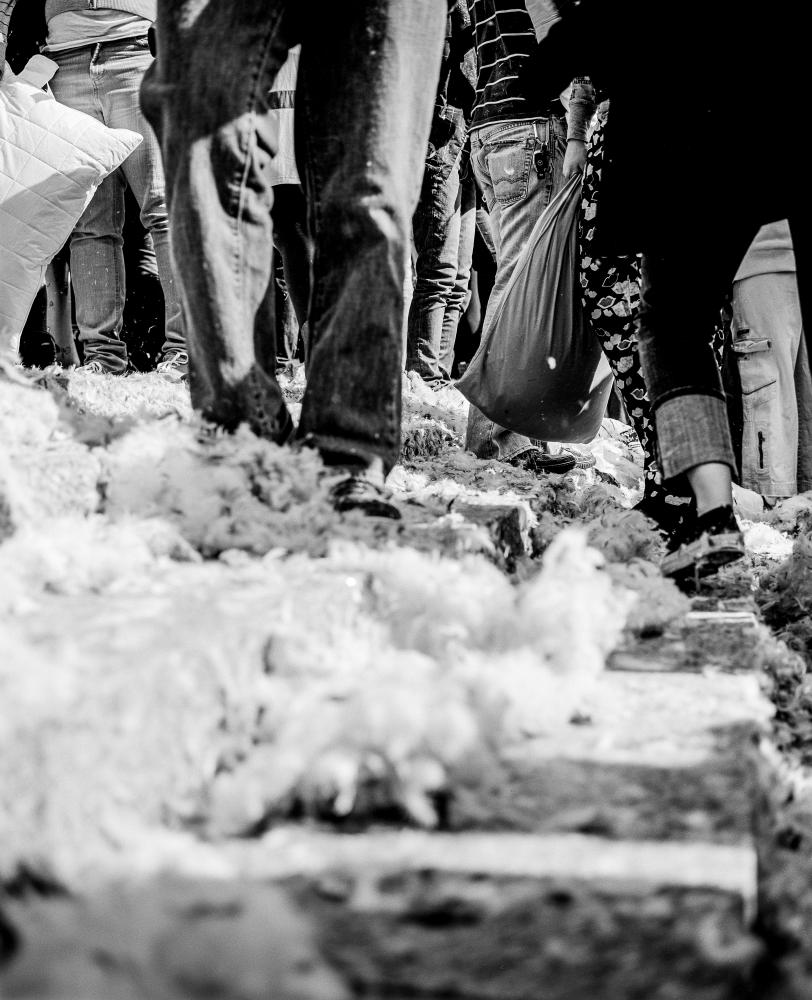 Pillow Fight 080322404