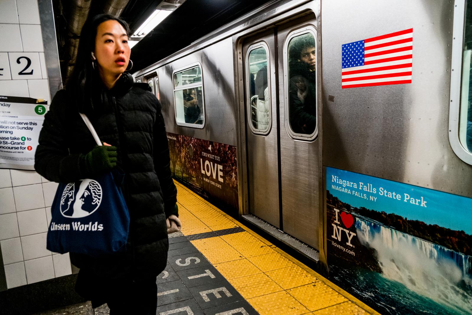 Rush Hour/NYC Subway 191213066