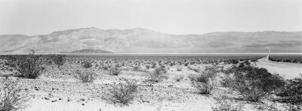 Kenneth Nelson | Images