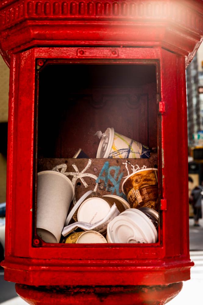 Throw Away Society 171119216