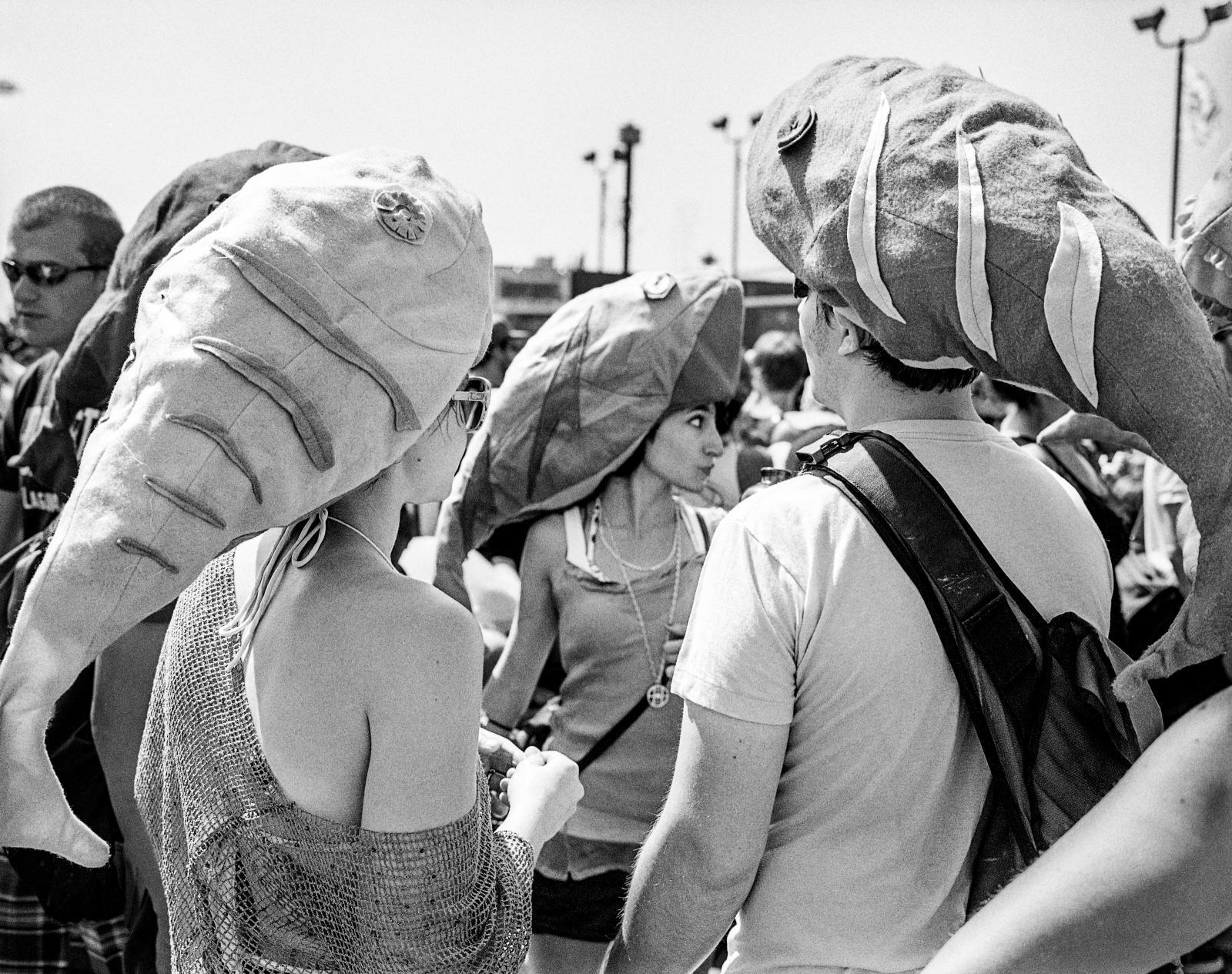 Mermaids at the Summer Solstice -  June 19, 2010 