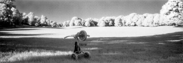 Kenneth Nelson | Images