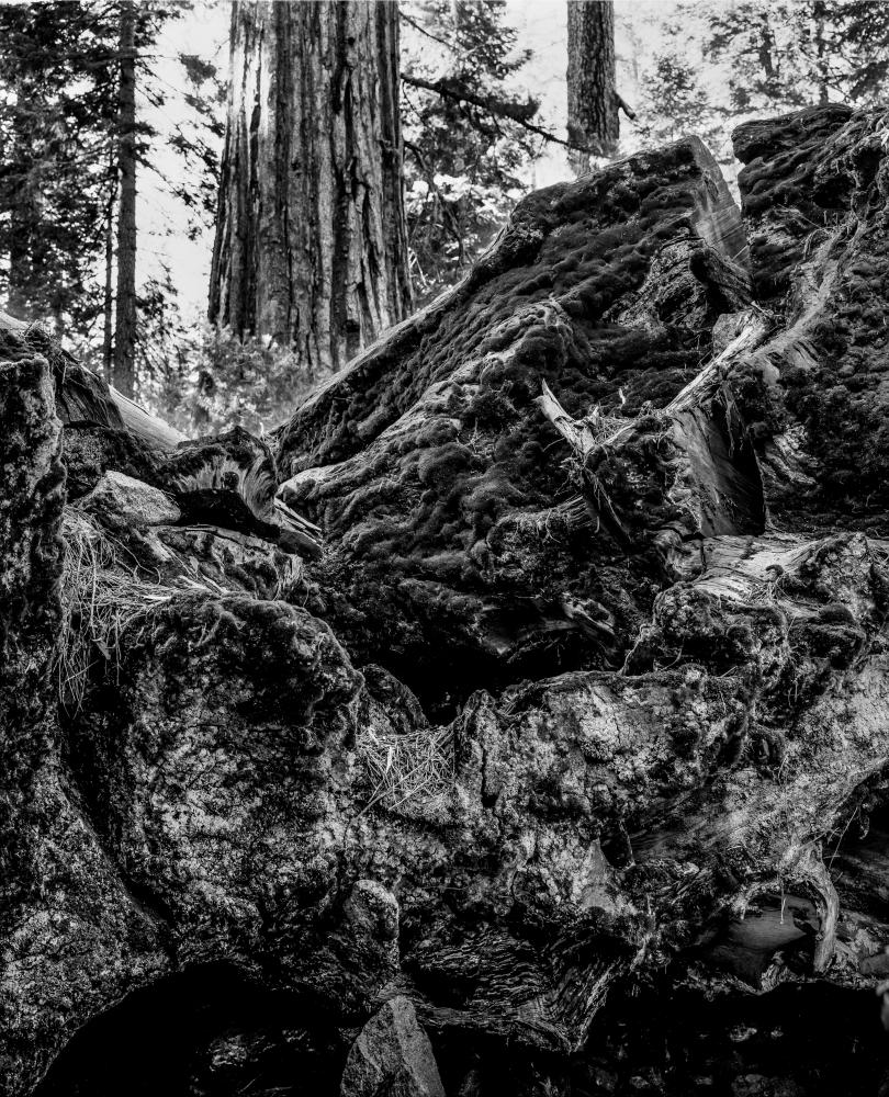 Landscapes 040921606