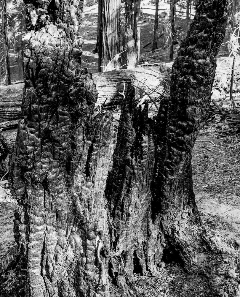 Landscapes 040921406