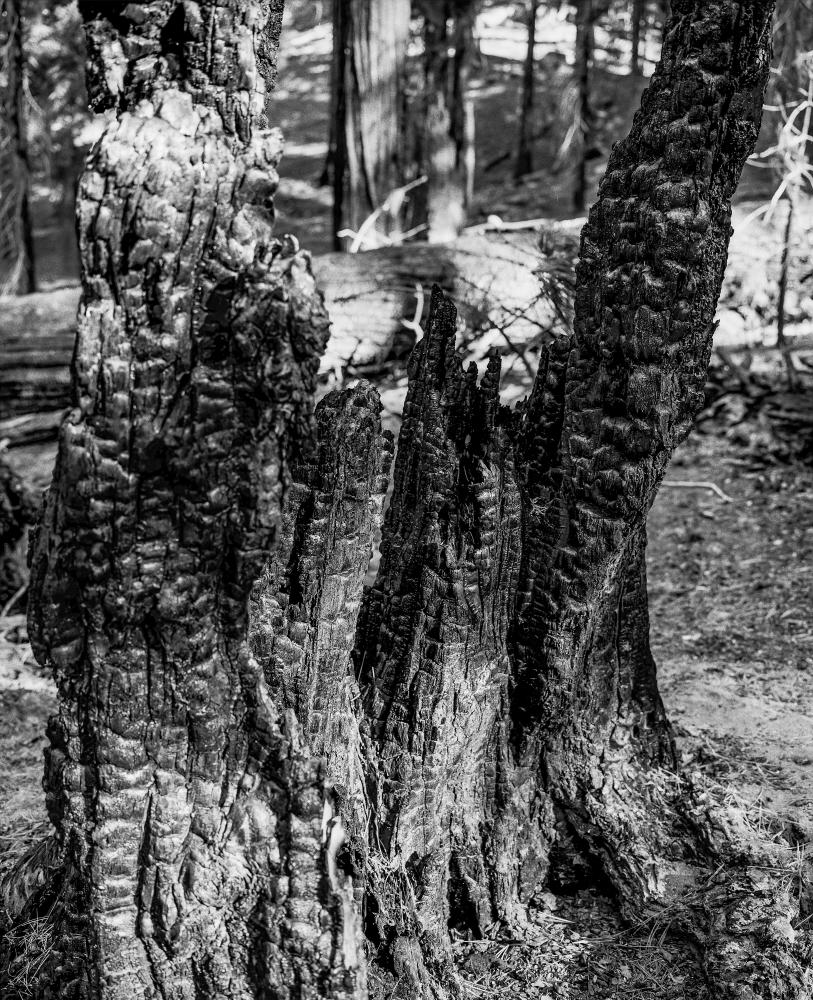Landscapes 040921407