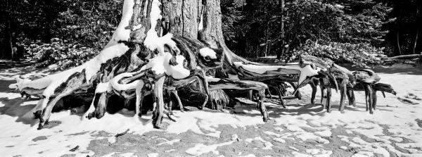 Kenneth Nelson | Images