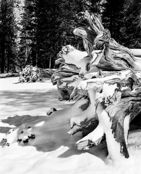 Kenneth Nelson | Images