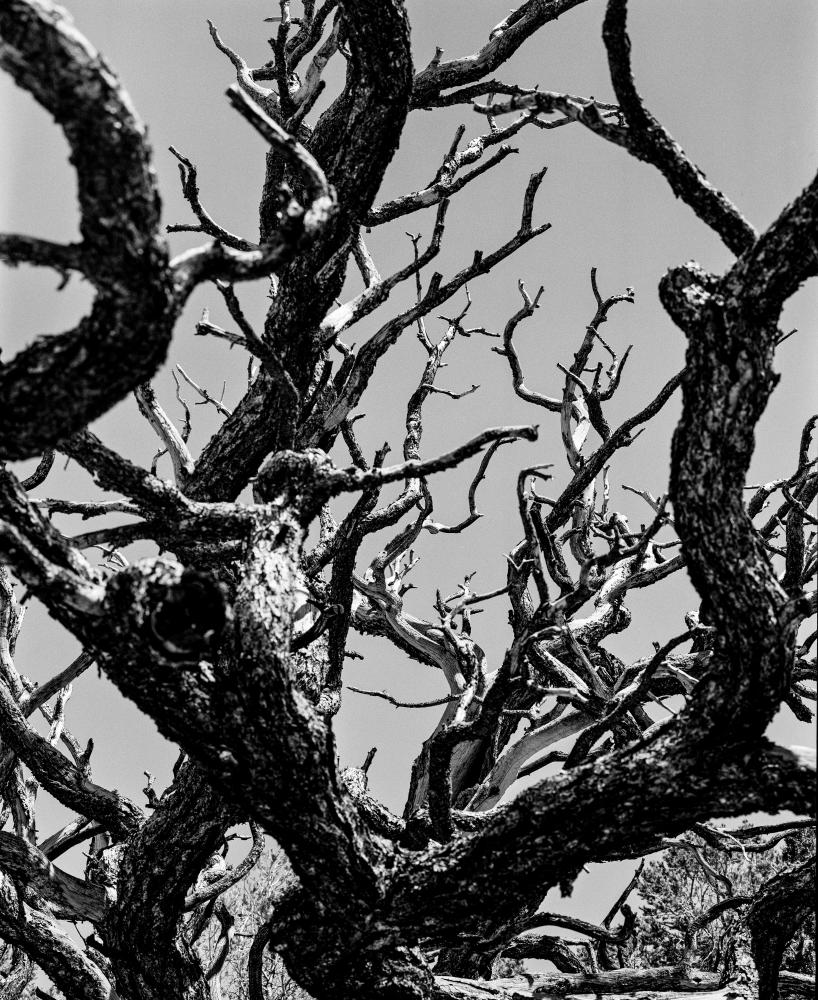 Landscapes 040918402