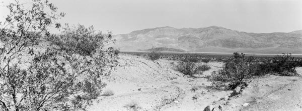 Kenneth Nelson | Images