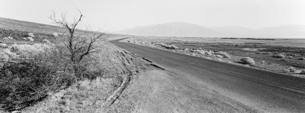 Kenneth Nelson | Images
