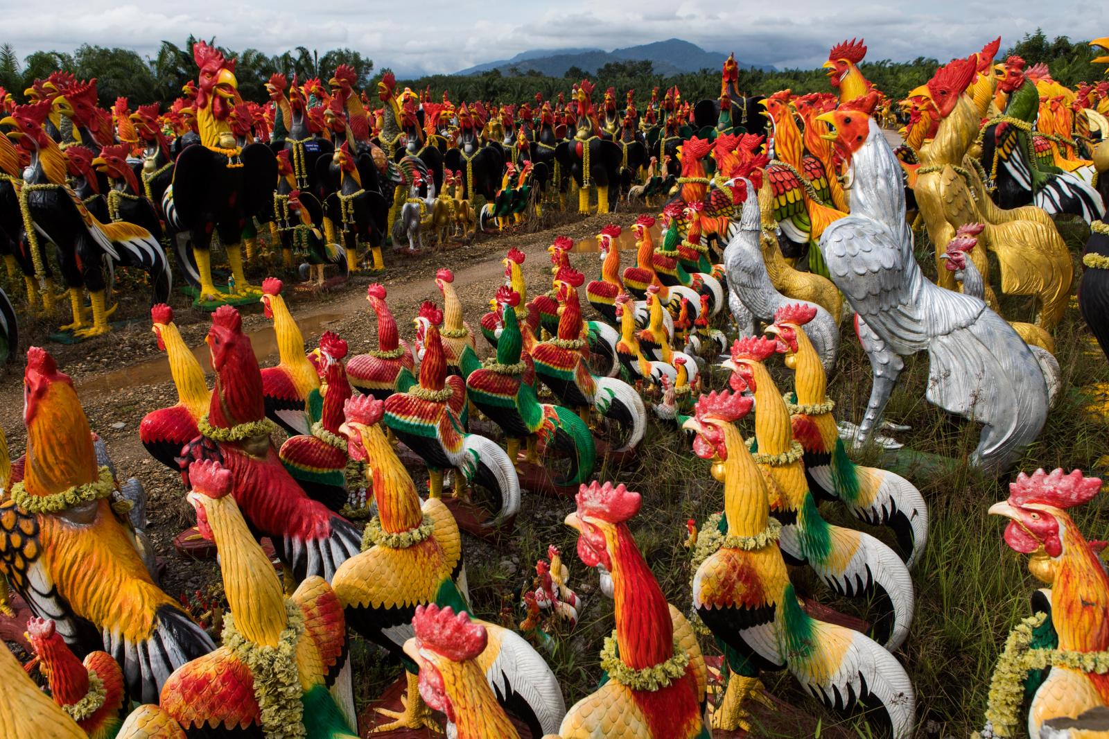 Image from Singles - Tens of thousands of chicken statues, if not more, have...