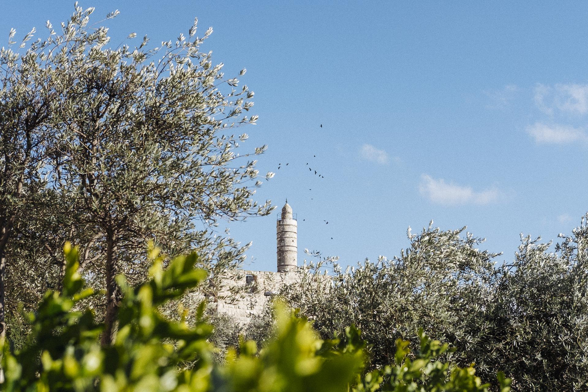 Au nom de tous les Saints - Tower of David, Jerusalem, February 12, 2020.
Tour de...
