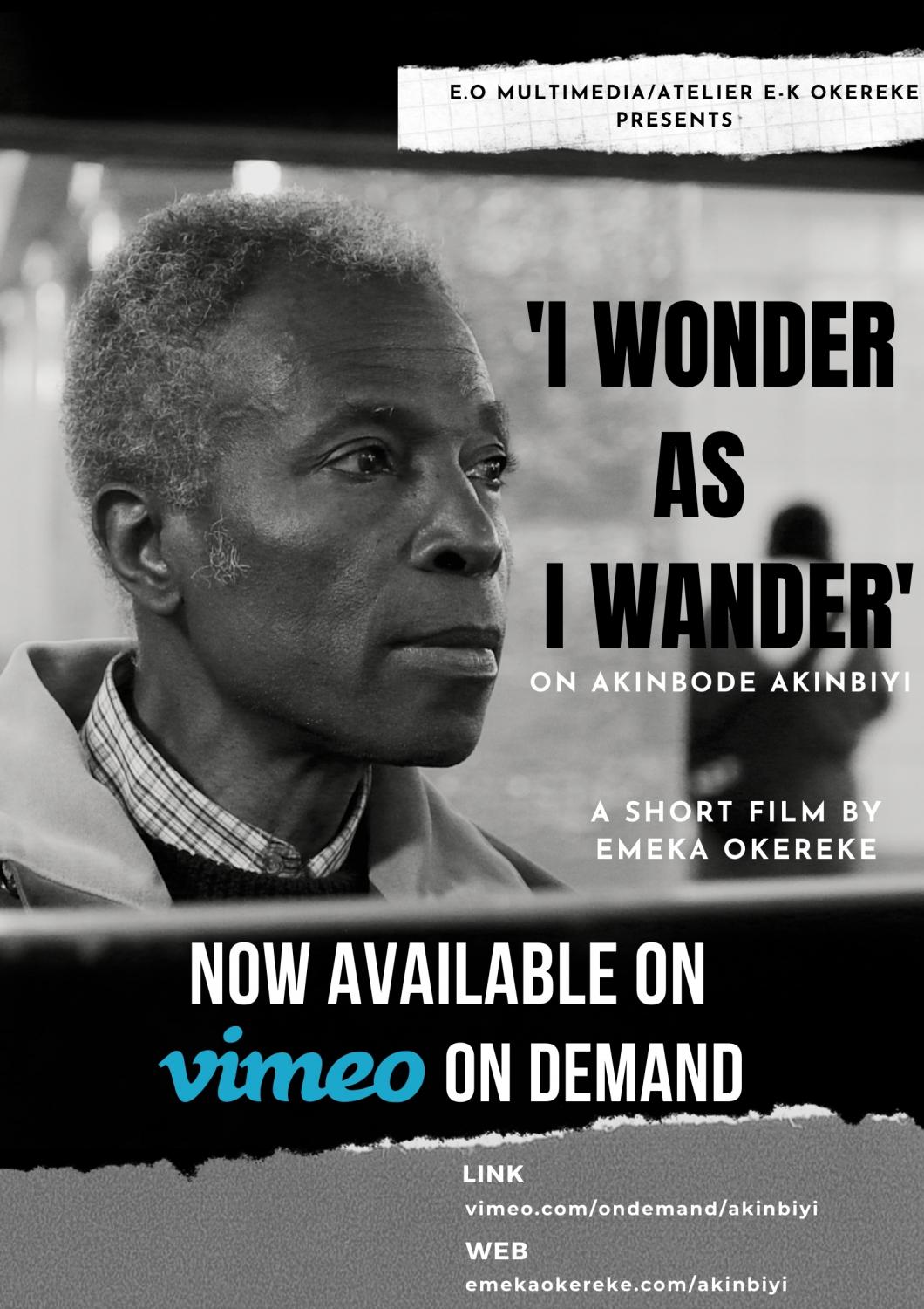 'I Wonder As I Wander': On Akinbode Akinbiyi - 