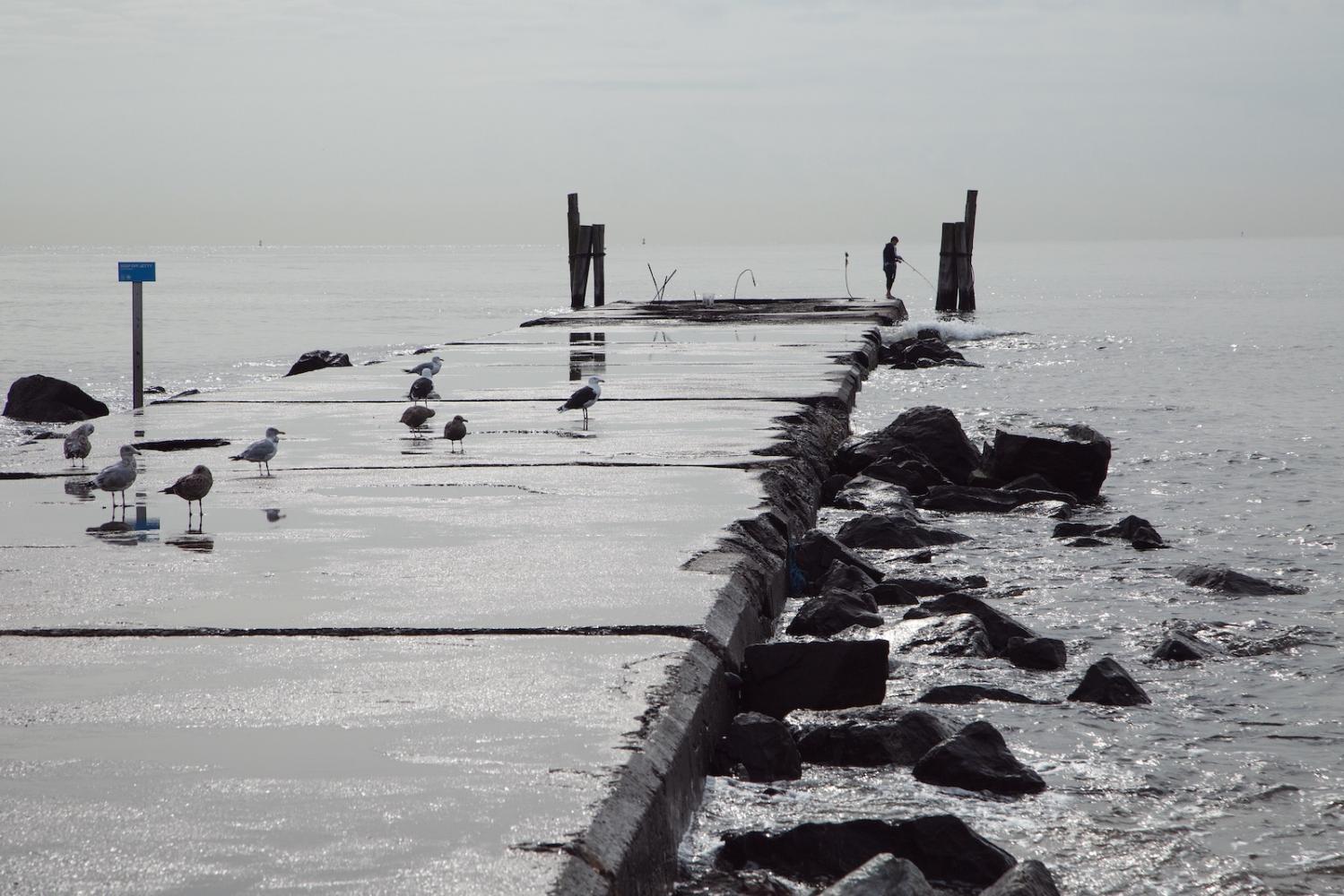 Fisherman and seagulls at rocky...Beach, Staten Island, NY 10305.