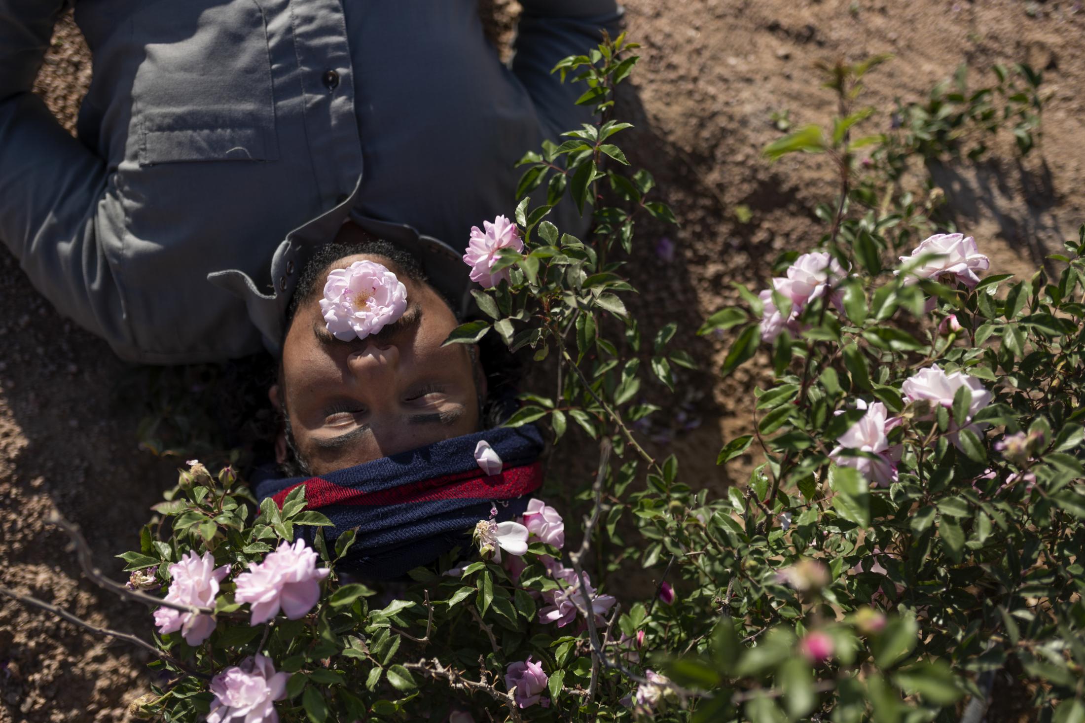 Moussa Algebaly (25) from the Jebeleya tribe lies under the &quot;flower&quot; plant...