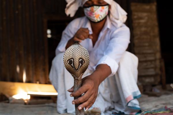 A gypsy man doing their traditional performance with a Cobra snack during the outbreak of coronavirus disease (COVID-19) at Savar the outskirts of Capital Dhaka, Bangladesh. The river gypsies in Bangladesh locally known as ‘Bede’ community.