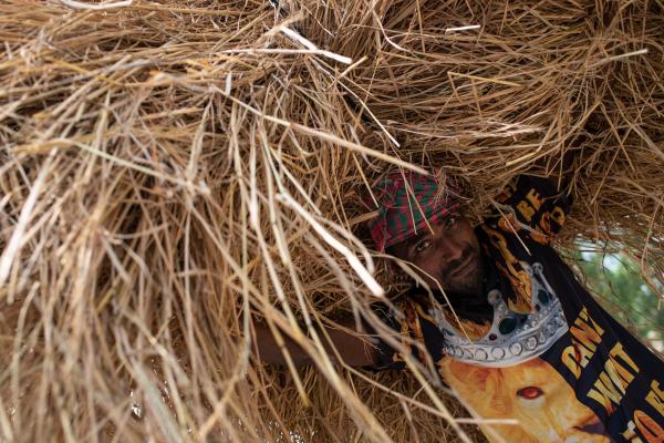 A farmer carries rice straw harvested in his field in Savar, Bangladesh, on the outskirts of Dhaka.