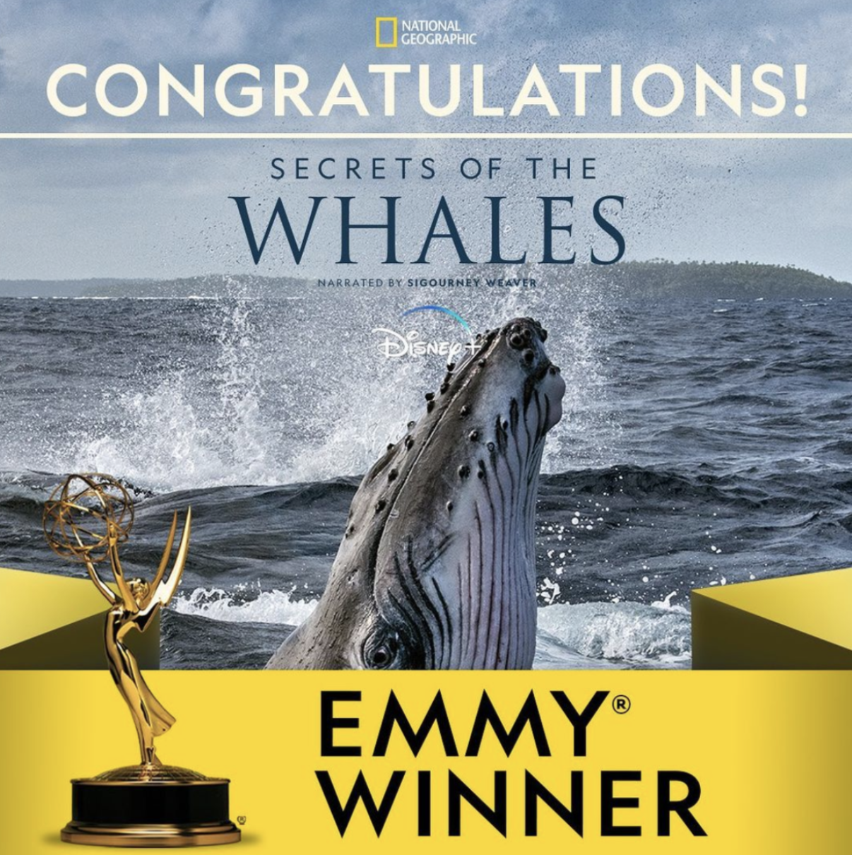 Thumbnail of Brian Skerry wins an Emmy!