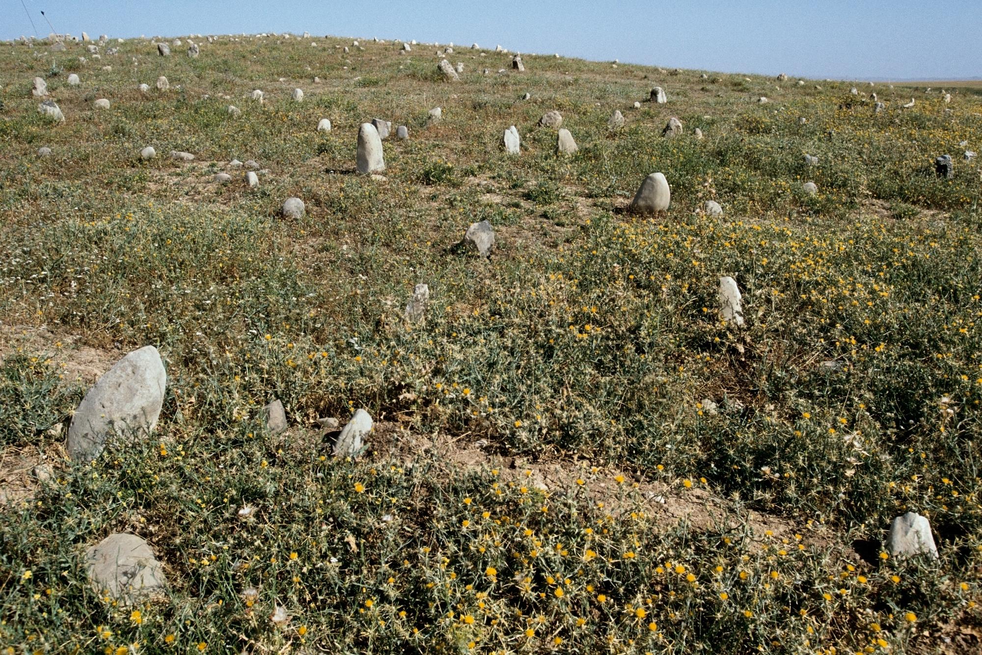 Children&#39;s graves. Iraq, 1992