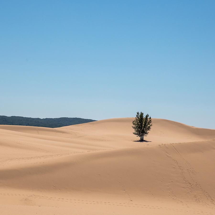 Sand Dunes of Silver Lake, Michigan