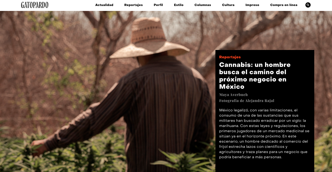 A man looks for the path of the cannabis business in Mexico