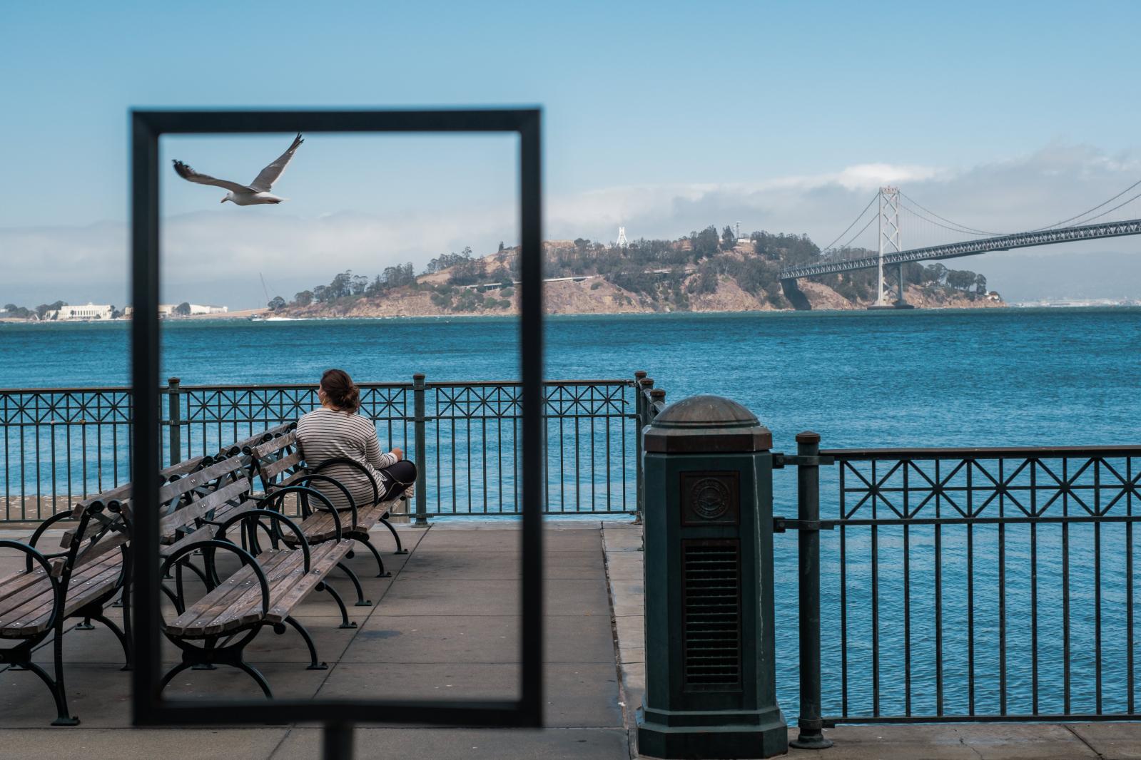 SAN FRANCISCO, CA - AUGUST 5: A woman looks out over the water as a Seagull flies over at the Ferry Building in San Francisco. (Photo by Nick Otto for the Washington Post)