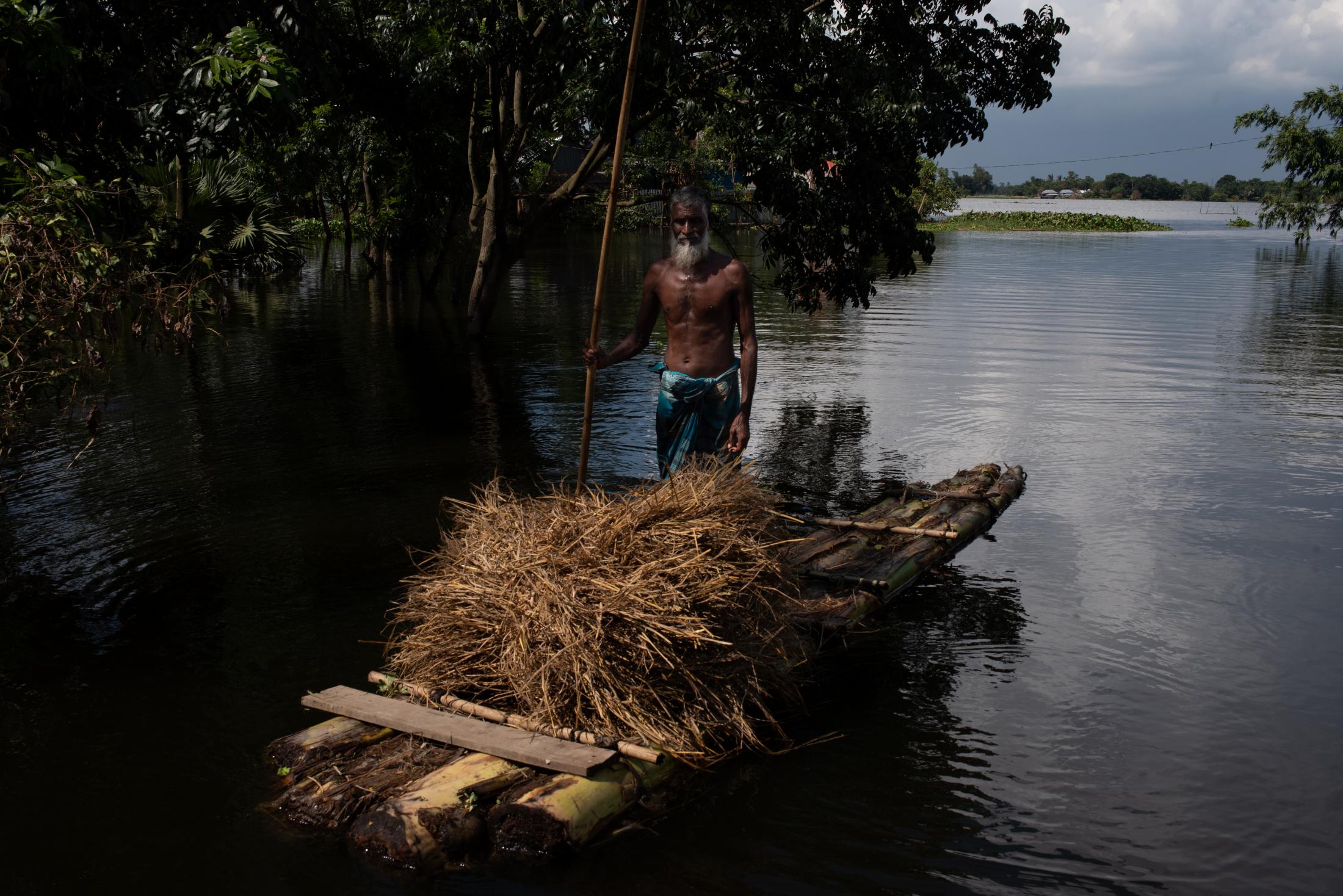 The Depth of Flood - A man carries straws for his cows on a boat as their...