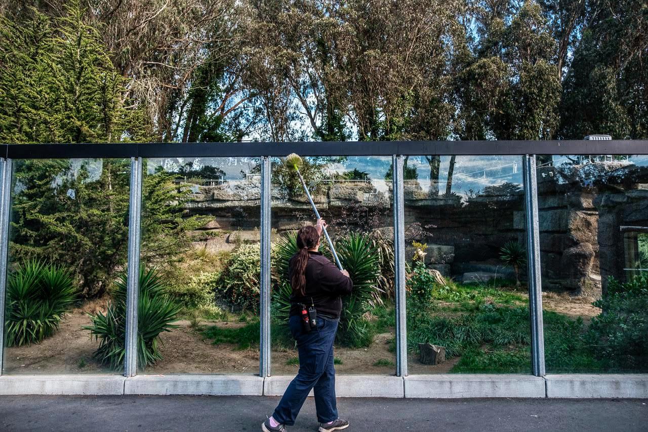 Heather Hayle cleans the outside of a glass enclosure at the San Francisco Zoo in San Francisco on Saturday, December 5, 2020. The Zoo will close Sunday as San Francisco enters a second shelter in place order.