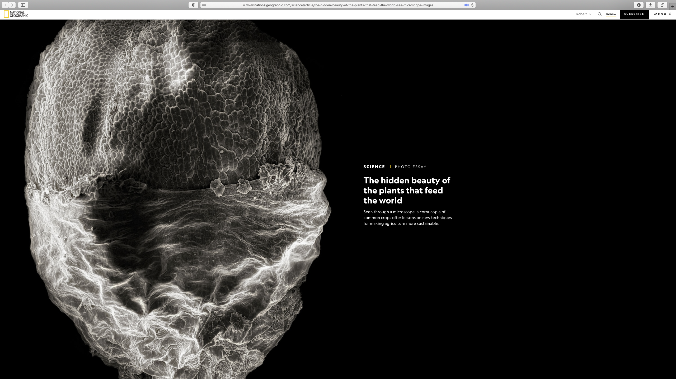 Art and Documentary Photography - Loading Screen_Shot_2021-09-23_at_12.35.33_PM.png