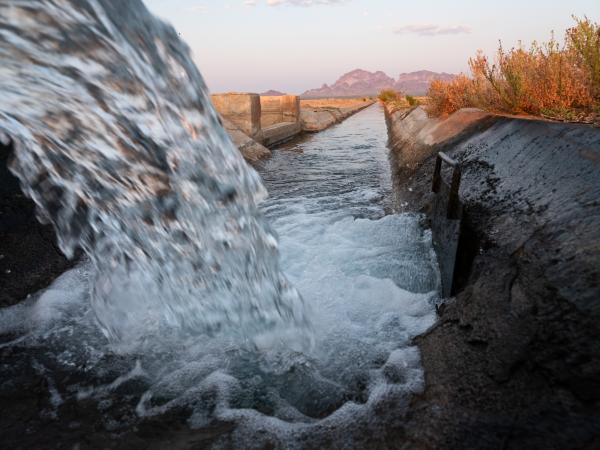 Irrigation Innovation - Bloomberg Businessweek