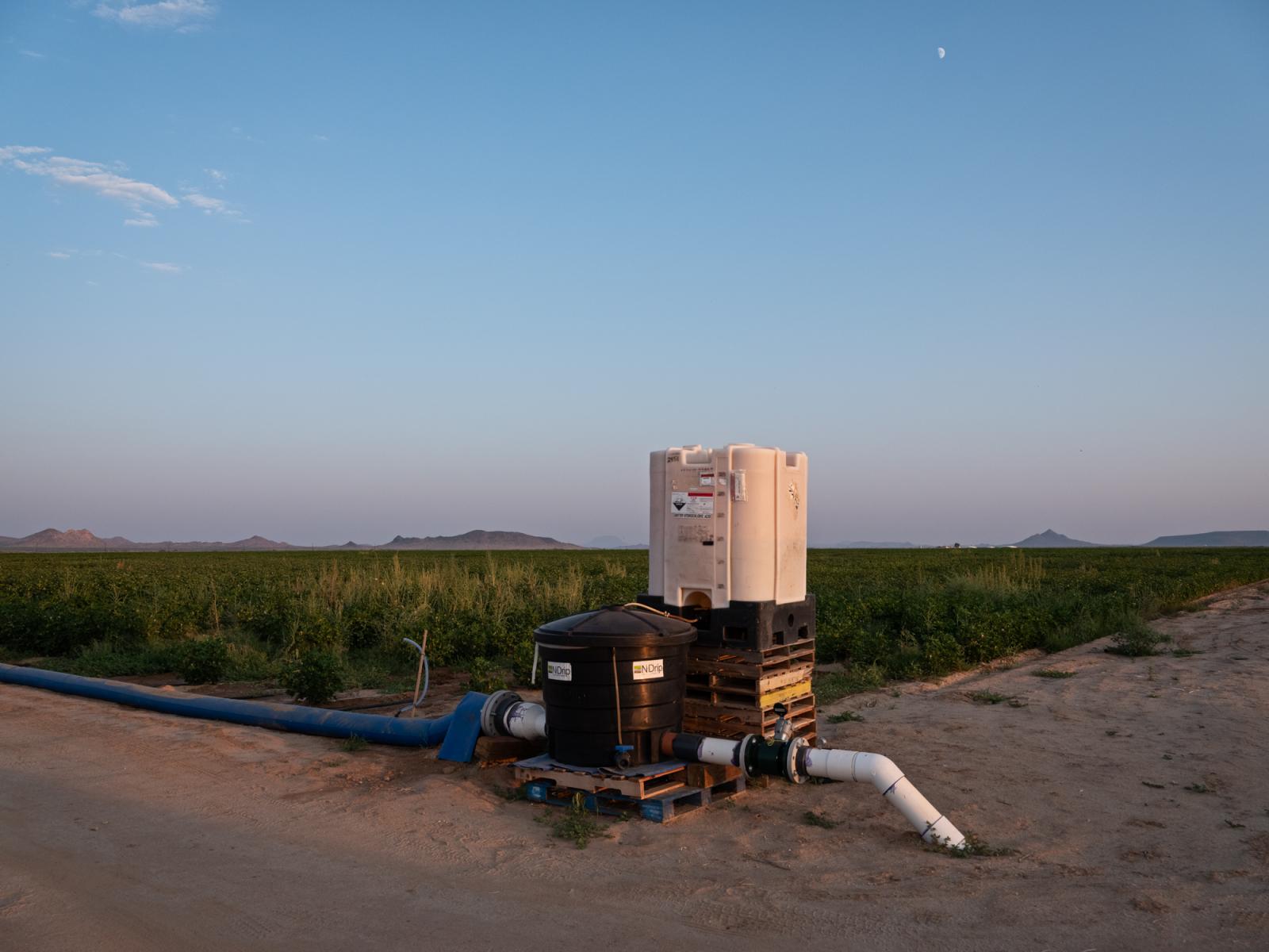 An N-Drip system feeds water into a cotton field.