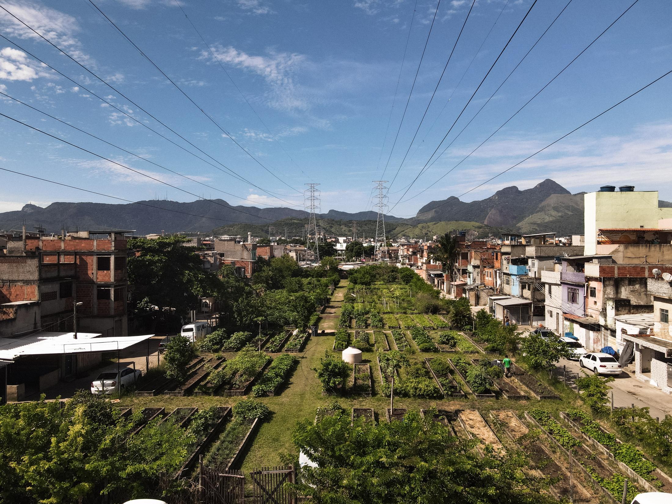 Urban farming in Brazil's favelas: this garden saves lives - default