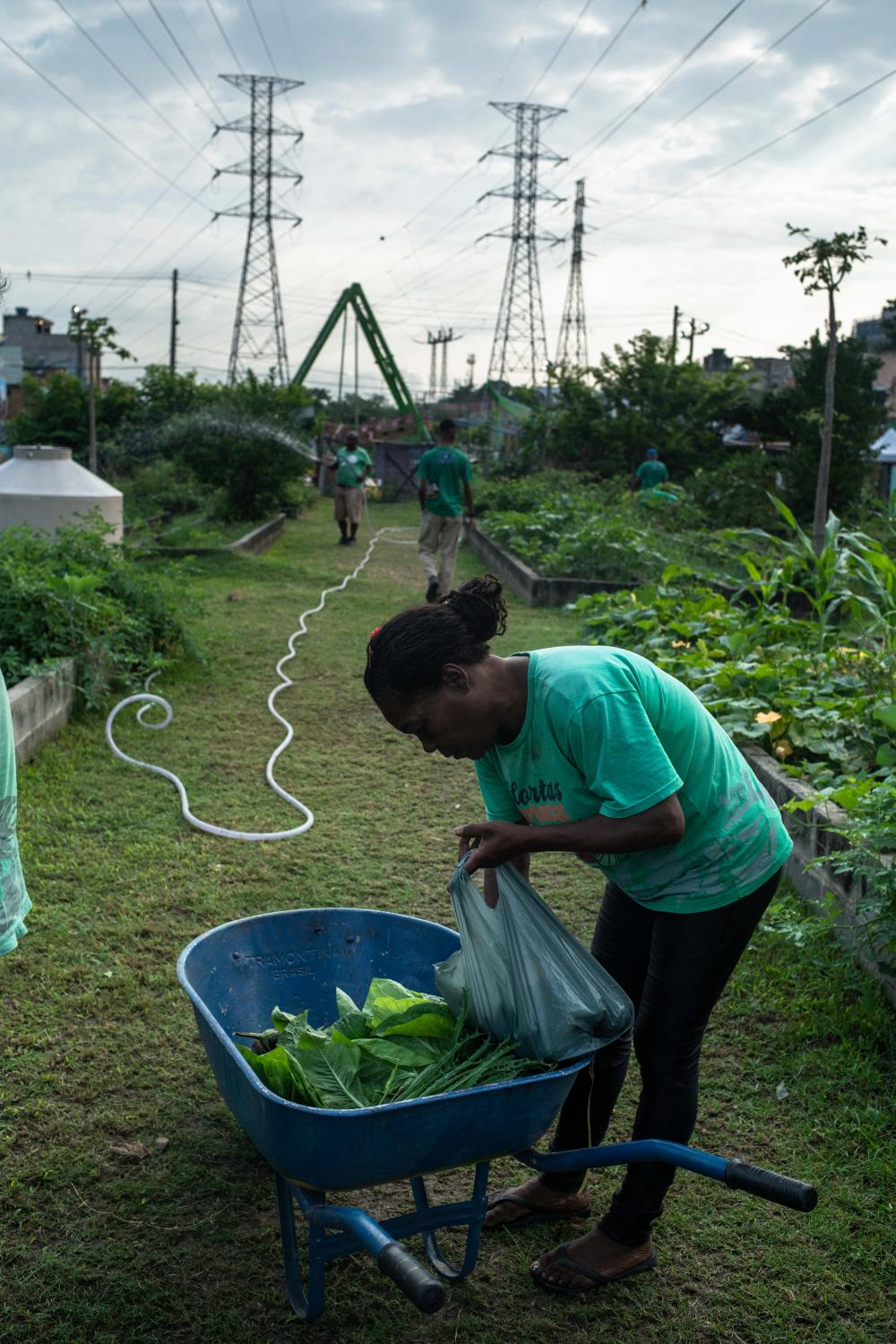 Urban farming in Brazil's favelas: this garden saves lives - Rose Rodrigues fills the pushcart from Manguinhos&rsquo; Urban Farm&rsquo;s vegetables to...