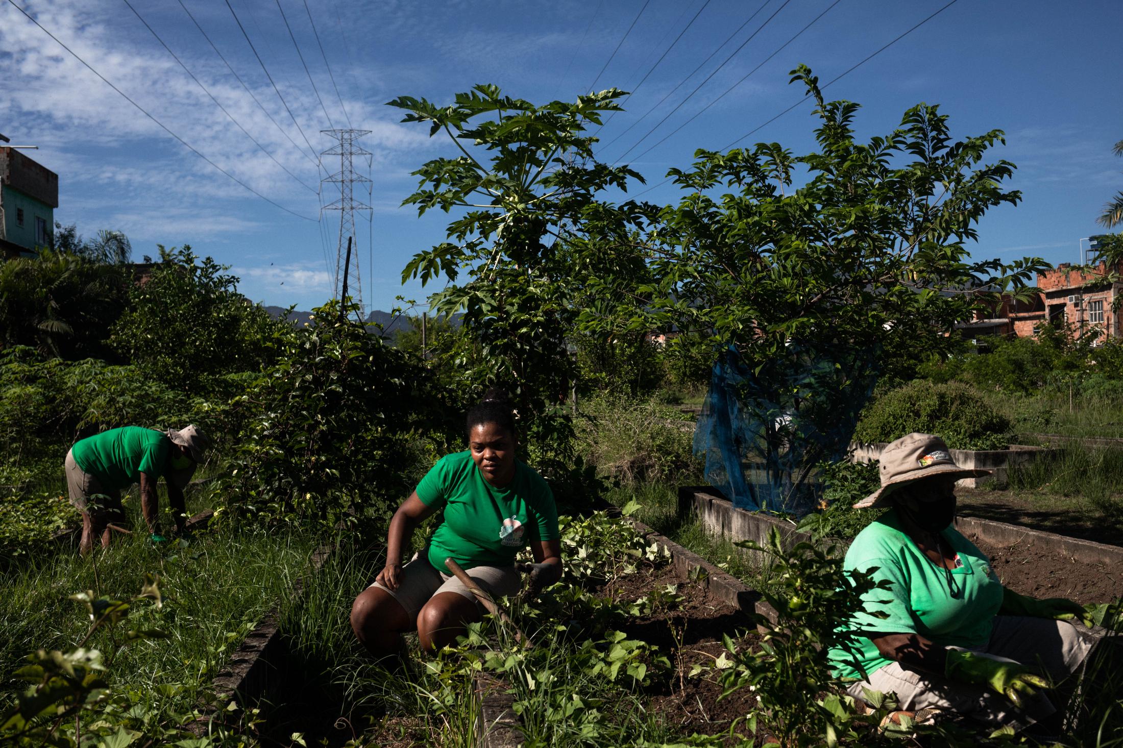 Urban farming in Brazil's favelas: this garden saves lives - 