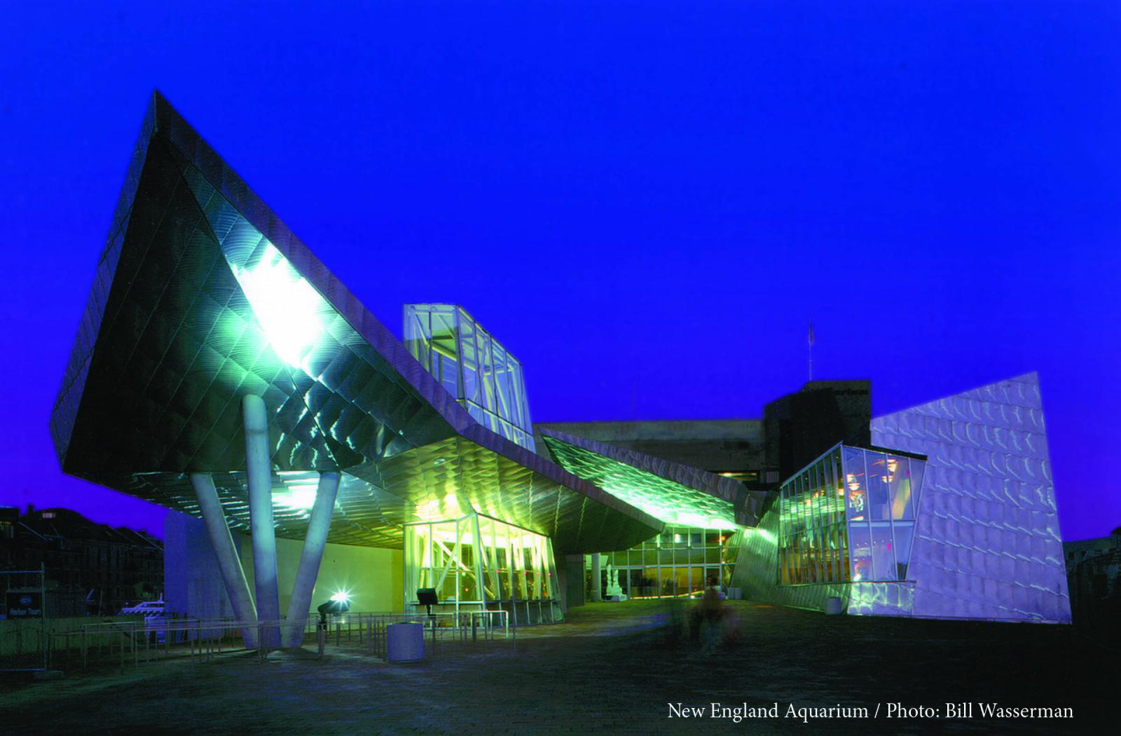 New England Aquarium Hosting Scout Film Festival 2022